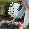 Bunga Cinta Lestari ke Makam Ashraf di Momen Idul Adha