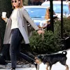 Fashion Dakota Johnson