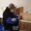 chanyeol studio nng