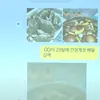Chat Kim Sae Ron Diminta Bayar 700 Juta Won