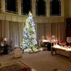 Pohon Natal Artis