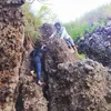 Devanosa