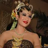 dian sastrowardoyo