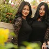 Duo Serigala 