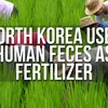 Hal-Hal Gila di Korea Utara