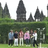 Suju TVXQ di Jogja