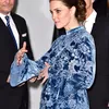 Kate Middleton Erdem Dress