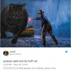 Kucing Kekar, Buff Cat