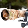 Binatang Ingin Jadi Fotografer