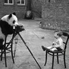 Binatang Ingin Jadi Fotografer