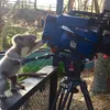 Binatang Ingin Jadi Fotografer