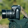 Binatang Ingin Jadi Fotografer