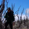 liburan selebriti, liburan atiqah hasiholan, atiqah ke gunung papandayan