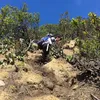 liburan selebriti, liburan atiqah hasiholan, atiqah ke gunung papandayan