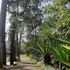 Foto Hotel Mewah Milik Keluarga Tamara Bleszynski di Puncak