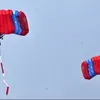 tni al