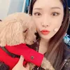 Anjing idol k-pop