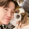 Anjing idol k-pop