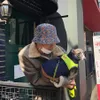 Anjing idol k-pop