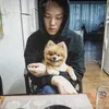 Anjing idol k-pop