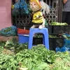 Kucing Penjual Ikan, Le Quoc Phong