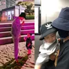 kai dan keponakan