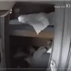 Dorm BTS
