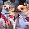 Meme Miss Universe 2015