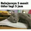 Meme Ujian Nasional