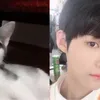 Kucing Random yang Viral Dibilang Mirip Idola K-Pop