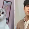 Kucing Random yang Viral Dibilang Mirip Idola K-Pop