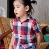 Anak Seleb