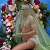 Meme Beyonce Hamil