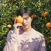 Lee Min Ho