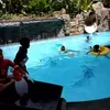 Liburan di Rumah Denny Cagur