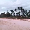 Citra Kirana
