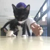 Lucifur