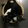 Lucifur