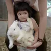 Baby Gempi