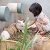 Baby Gempi