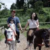 Baby Gempi