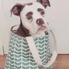 Madame Eyebrows, Anjing Tersedih