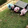 Makam Olga Syahputra