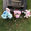 Makam Olga Syahputra