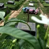 Makam Olga Syahputra
