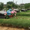 Makam Olga Syahputra