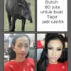 Meme Amel Alvi