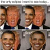 Meme Donald Trump Gerhana Matahari