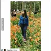meme-meme kocak Hesti perusak taman bunga Amaryllis