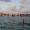 suku nomaden